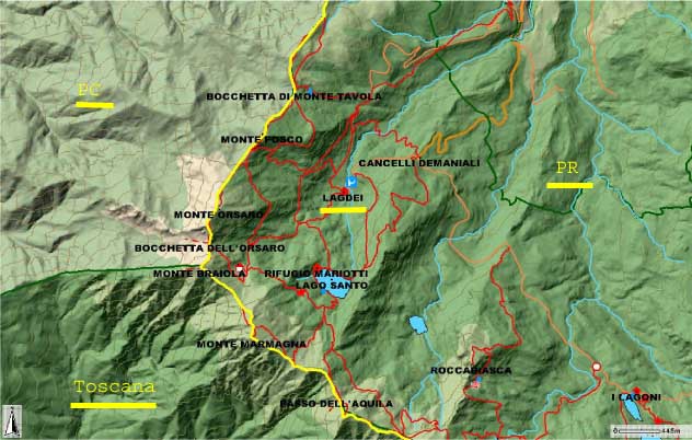 Vitrinobrachium baccettii nell''Appennino Tosco-Emiliano